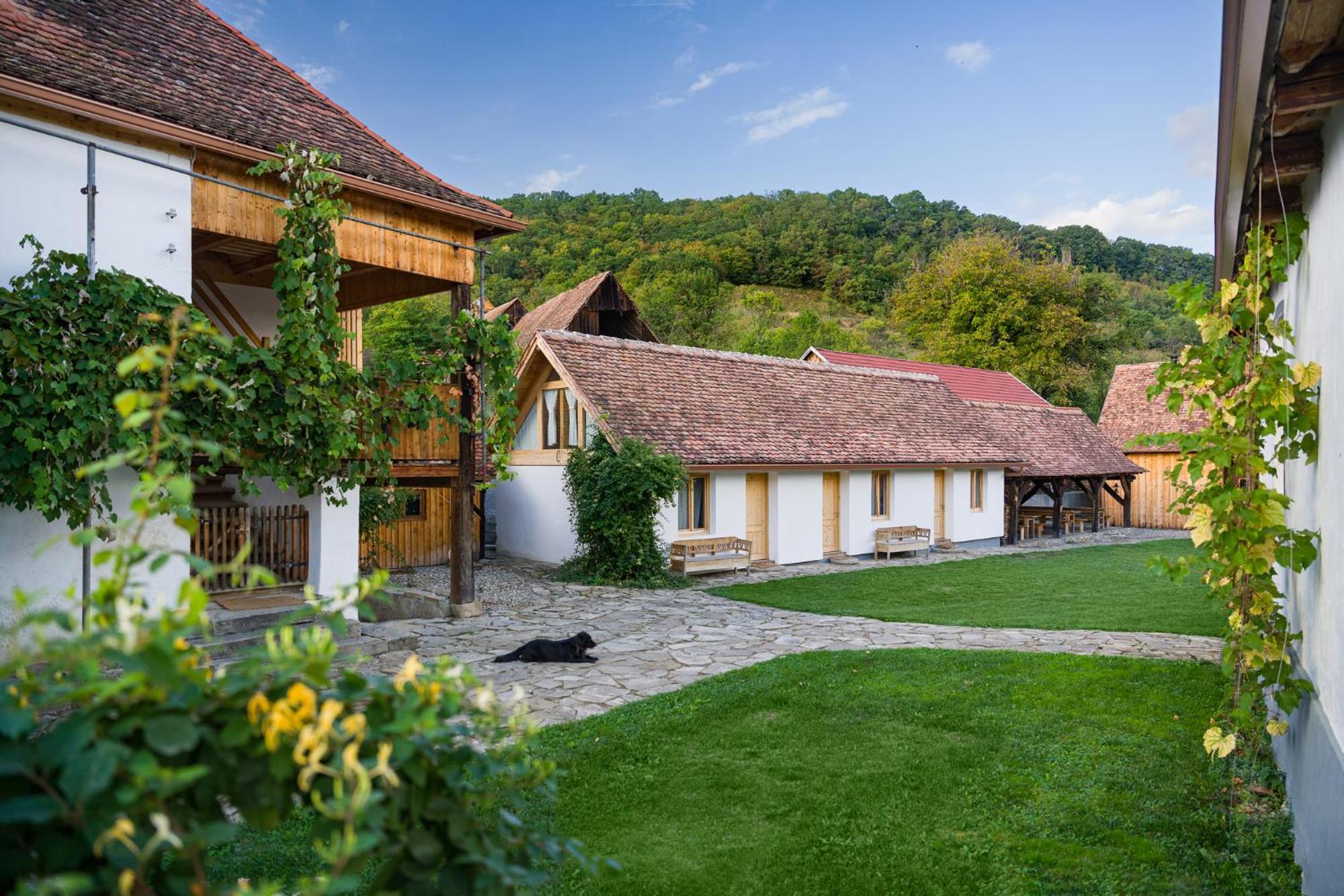Mesendorf Gasthaus Extérieur photo